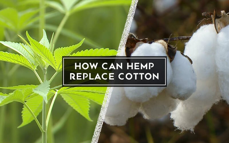 hemp vs cotton