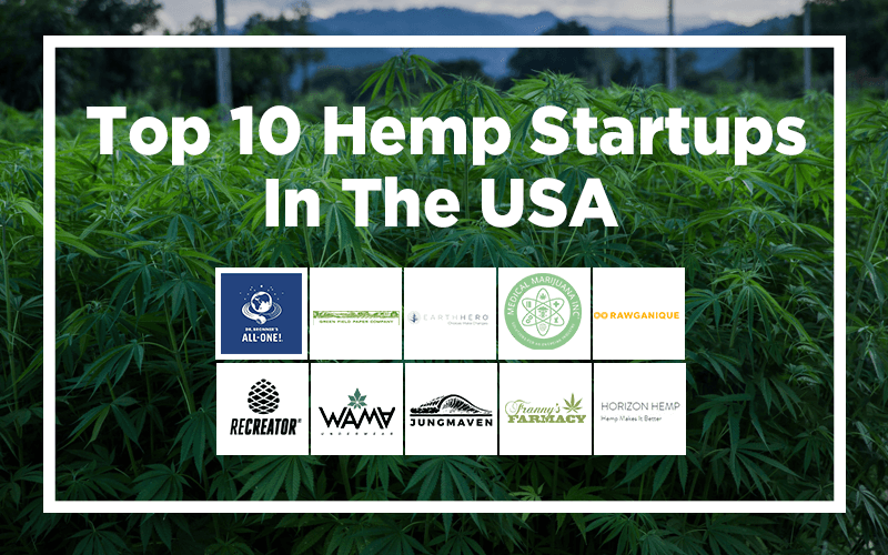 Hemp Startups in the USA